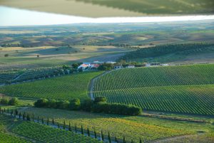 Cortes de Cima winery