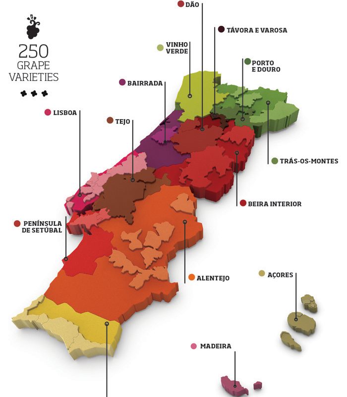 Wines Regions