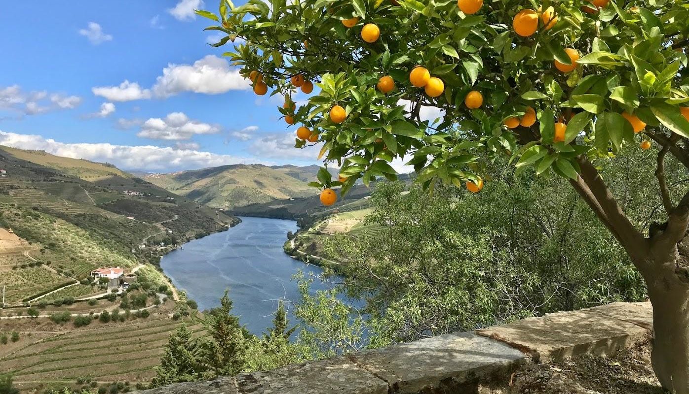 view Douro