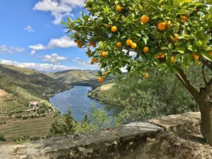 view Douro