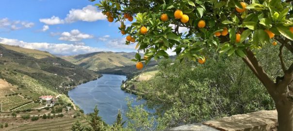 view Douro